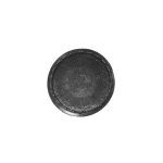 SP. OTT. CROM. TIPO INDESIT RAP - C2701